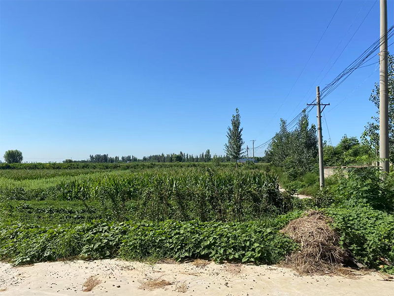 衛(wèi)輝市漳衛(wèi)河“21?7”洪水災(zāi)后治理良相坡蓄滯洪區(qū)建設(shè)項(xiàng)目環(huán)境影響報(bào)告表